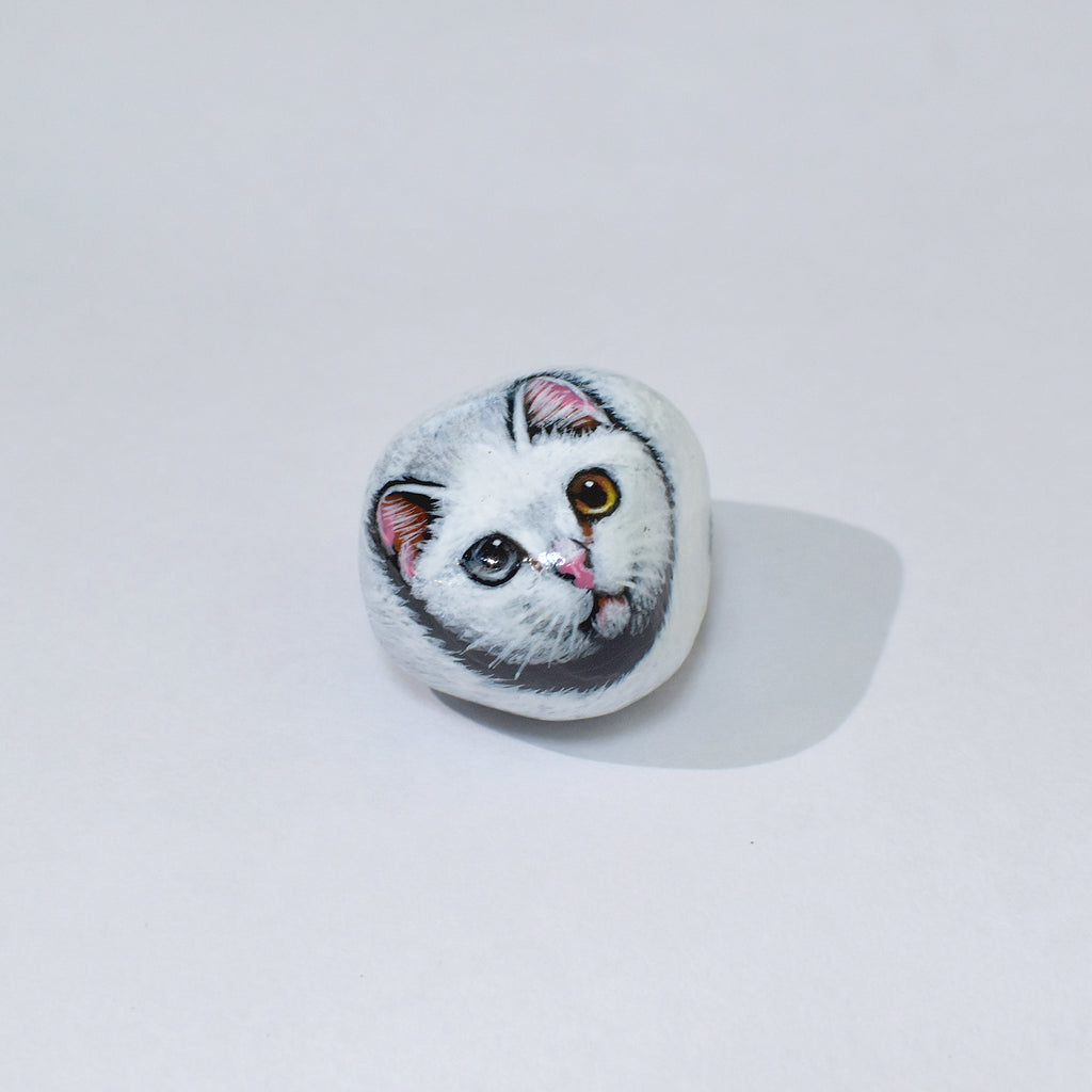 石猫｜白