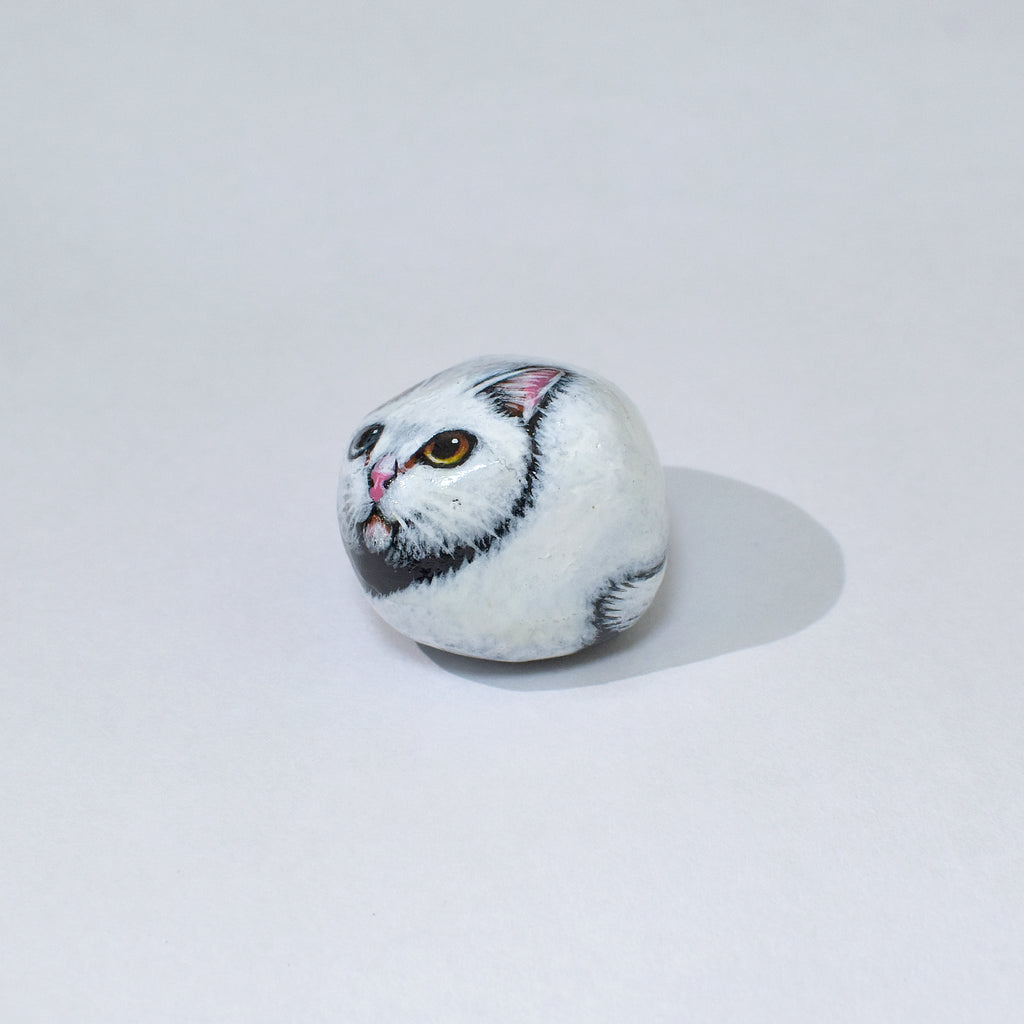 石猫｜白